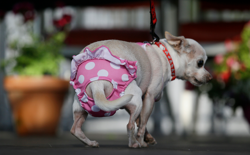 Eric Risberg/AP Images